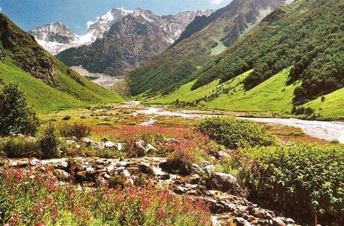 Национальный парк Долина цветов в Гималаях