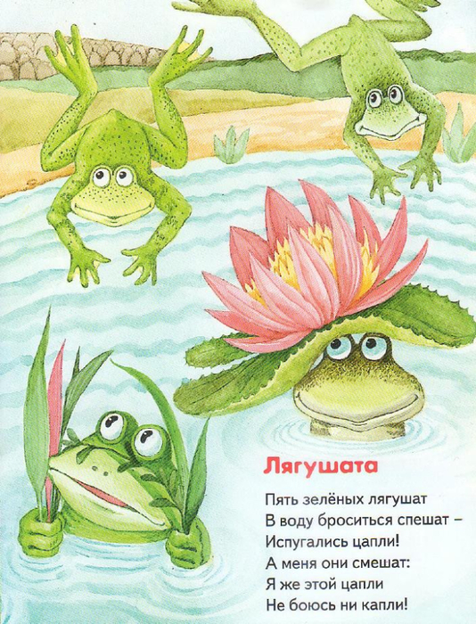 Короткий стих про лягушку Короткий стих про лягушку