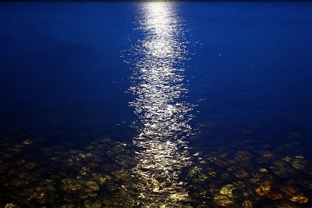 3303834_Moonlight (450x300, 121Kb)