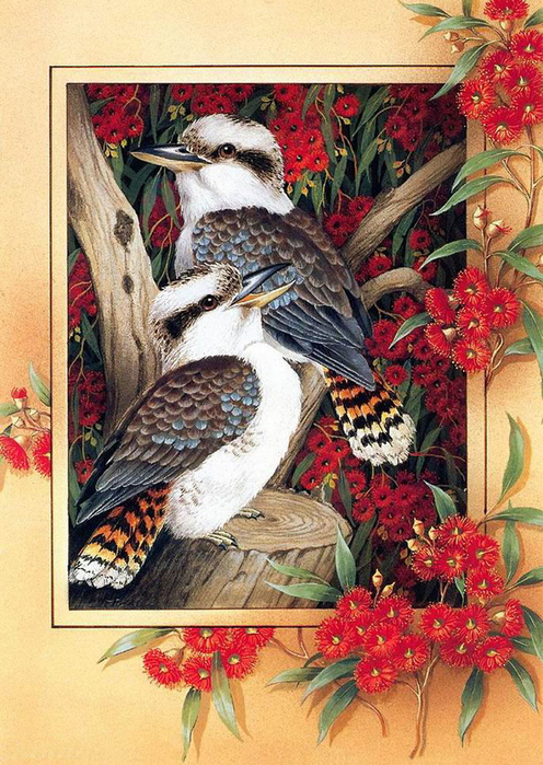 Kookaburra (496x700, 423Kb)