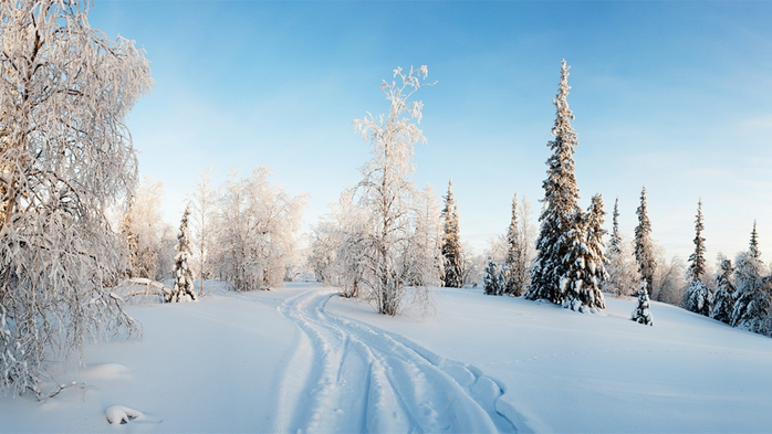 Winter_Winter_landscape_with_a_road_043484_ (700x393, 298Kb)
