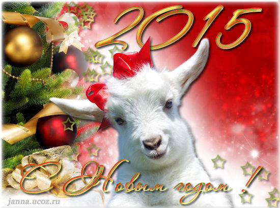Поздравления С Новым Годом Овцы Коллегам