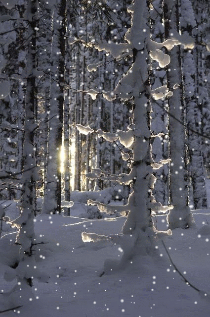 tumblr_nfpj3qLtcL1rz1qeho1_500 (425x640, 610Kb)