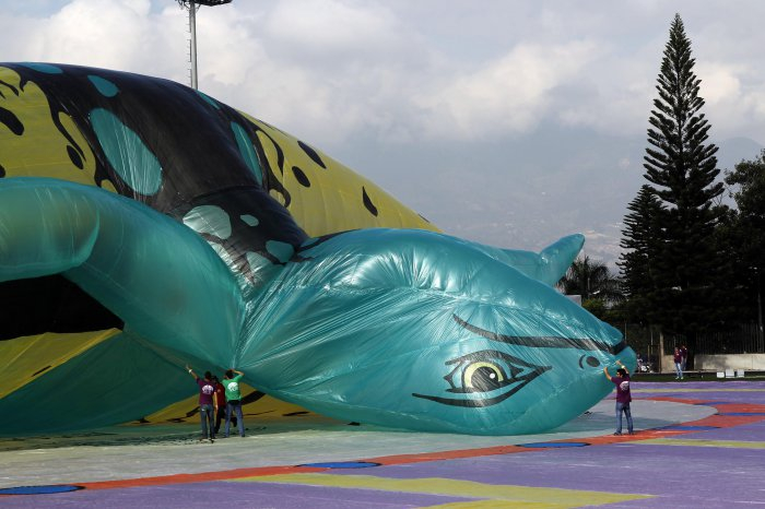 фестиваль воздушных шаров в мексике 7 (700x466, 244Kb)