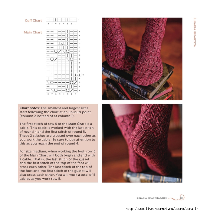 Knitters Curiosity Cabinet_127 (661x700, 260Kb)