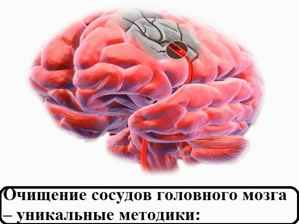 5634319_rpa (600x450, 51Kb)