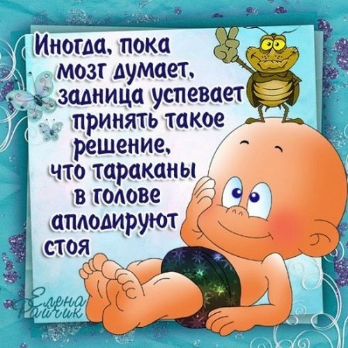 Смешные прикольные картинки и открытки Смешные прикольные картинки и открытки
