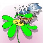ICQ (150x150, 9Kb)