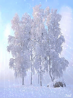118576898_3303834_winter_animation_14 (240x320, 480Kb)