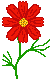 цветы9 (55x80, 1Kb)