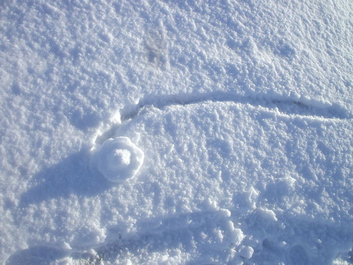 Снежное колесо (700x525, 80Kb)