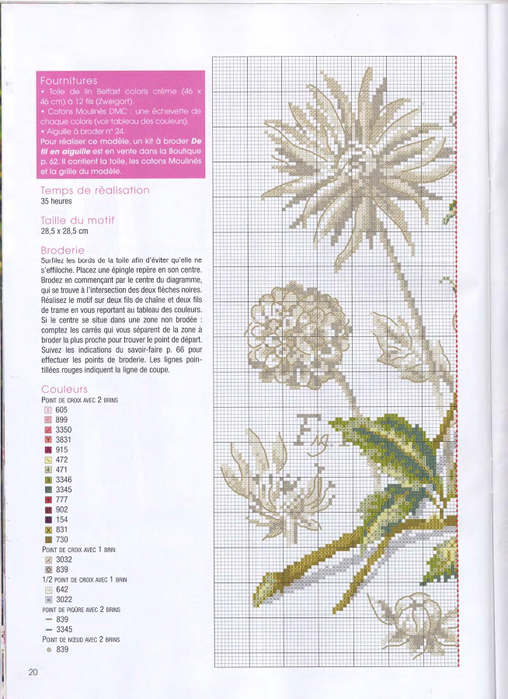 DFEA HS 28 Etudes de Botanique_18 (508x700, 369Kb)