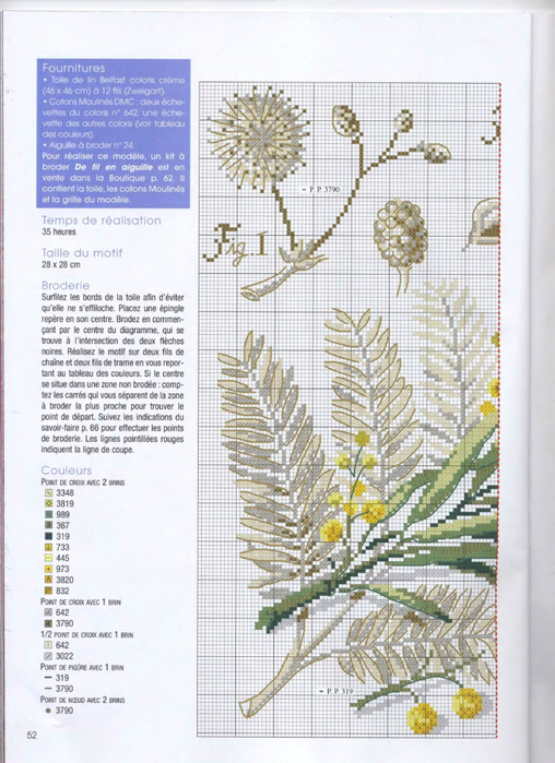DFEA HS 28 Etudes de Botanique_42 (508x700, 409Kb)