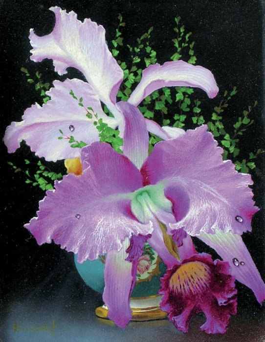 5 (542x700, 413Kb)