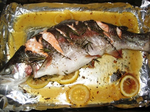  IMG_3726 (600x449, 216Kb)
