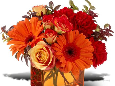 ваза цветы 18 (450x338, 162Kb)