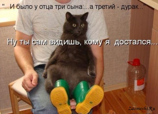 5680197_1589Kotvsapogah_1 (600x433, 51Kb)