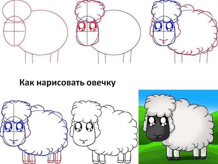 Как делать массаж для собак К чему снится рыба с большими зубами узнай значение сна