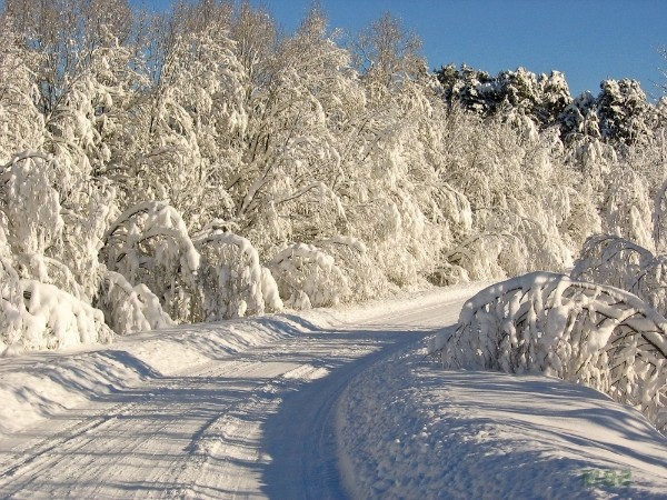 дорога зимой 9 (600x450, 352Kb)