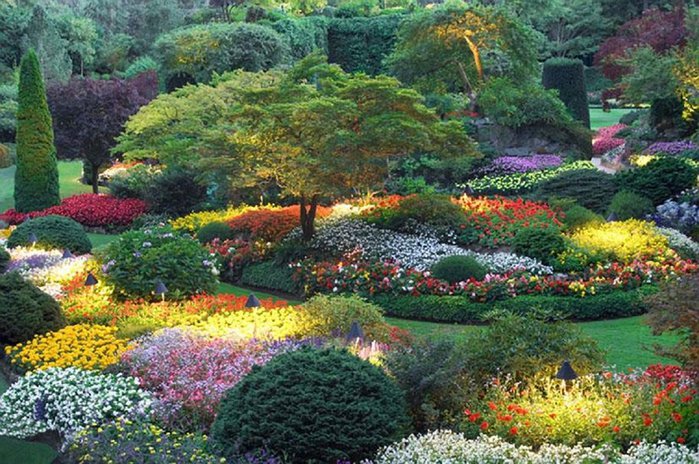 2835299_beautifulflowergarden_p (700x464, 120Kb)