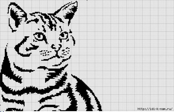 шшшш (3) (600x388, 158Kb)