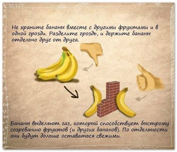 3470549_banani_soveti (604x518, 66Kb)
