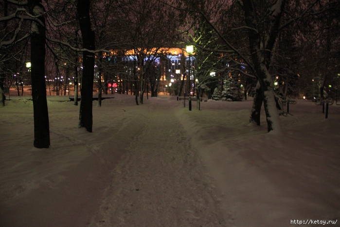 2064475_IMG_9335 (700x466, 240Kb)