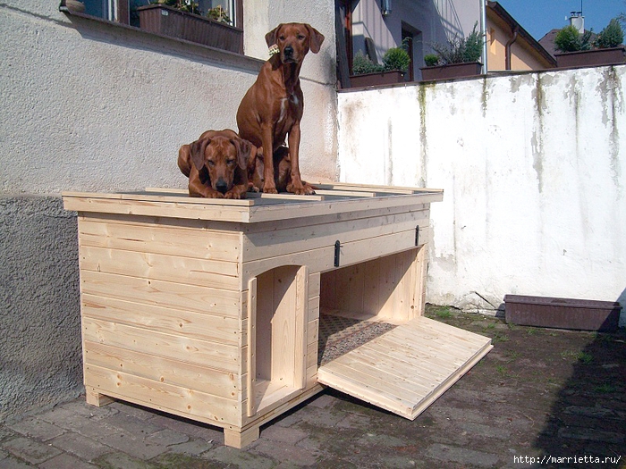 Будка для собаки чертеж с размерами утепленная (67 фото) - картинки sauna-chelyabinsk.ru