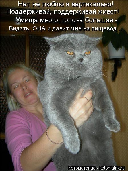 26 (450x600, 219Kb)