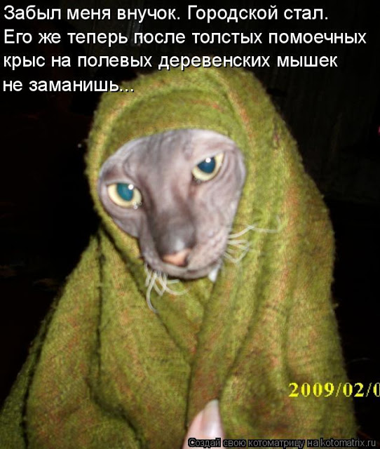 original (1) (542x640, 85Kb)