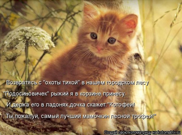 original (640x473, 475Kb)