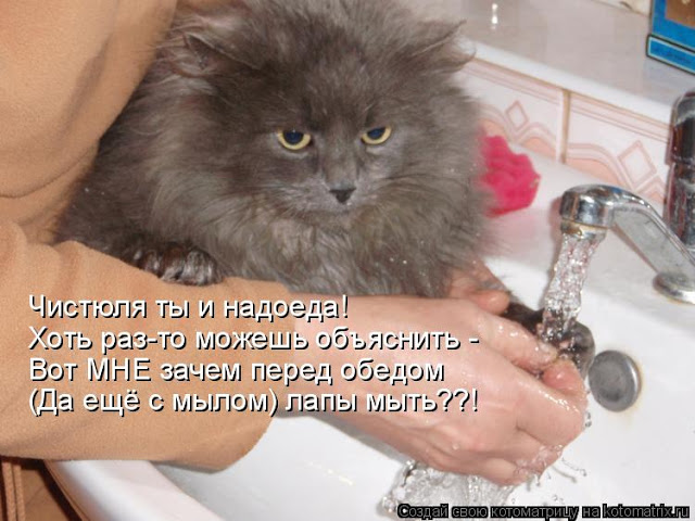 original (3) (640x480, 80Kb)