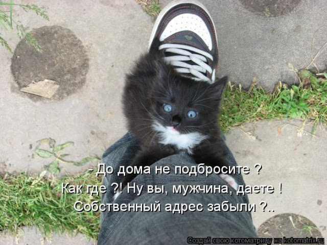 original (5) (640x480, 90Kb)