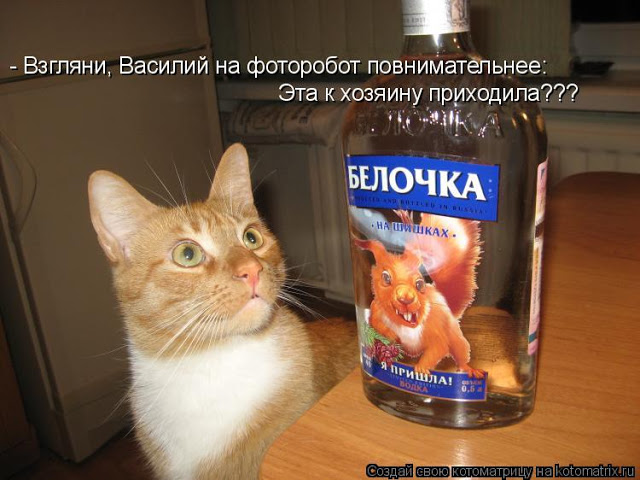original (7) (640x480, 80Kb)
