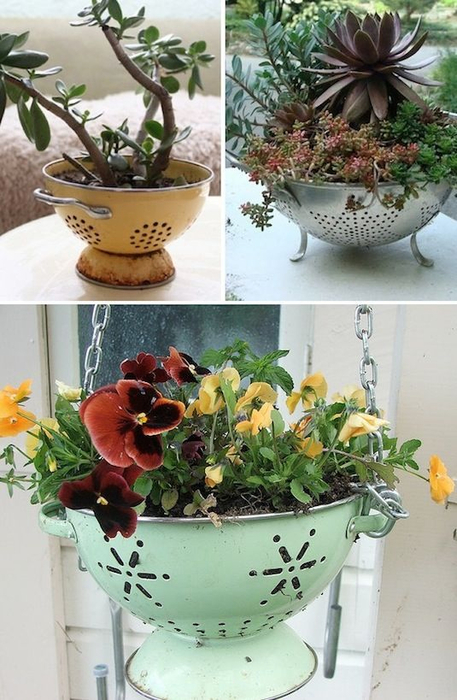 24-Creative-Garden-Container-Ideas-Use-a-colander-as-a-planter-7 (457x700, 353Kb)