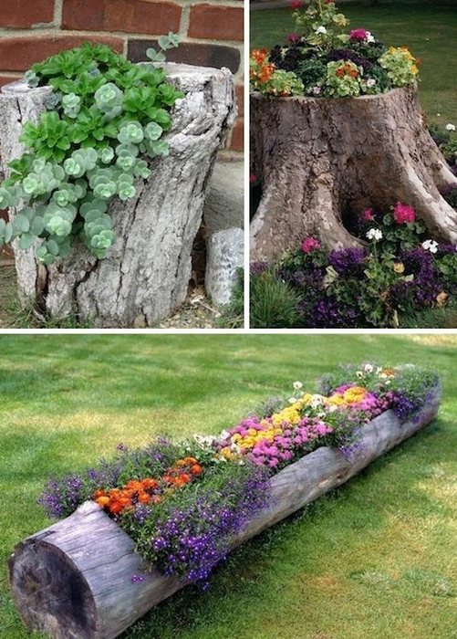 24-Creative-Garden-Container-Ideas-Use-tree-stumps-and-logs-as-planters-8 (501x700, 449Kb)