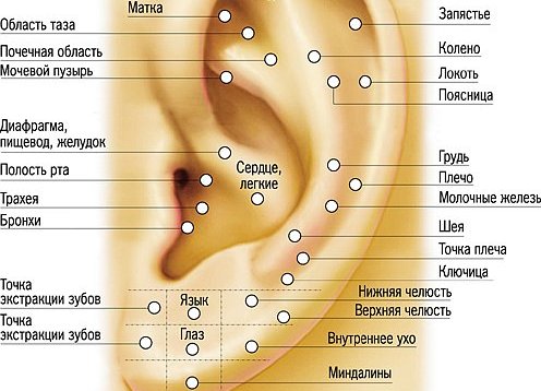 5177462_lechebnyy_pirsing_sekretnye_tochki_2 (496x358, 44Kb)