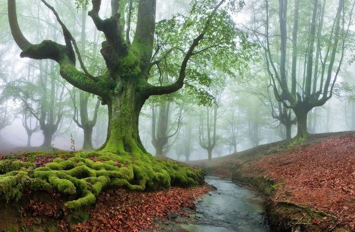 Gorbea Natural Park (700x457, 410Kb)