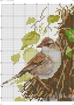      2190 (493x700, 319Kb)