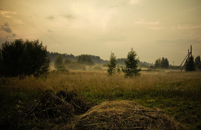 7a30e0fd13b09527201b6da99c52a806 (700x452, 343Kb)