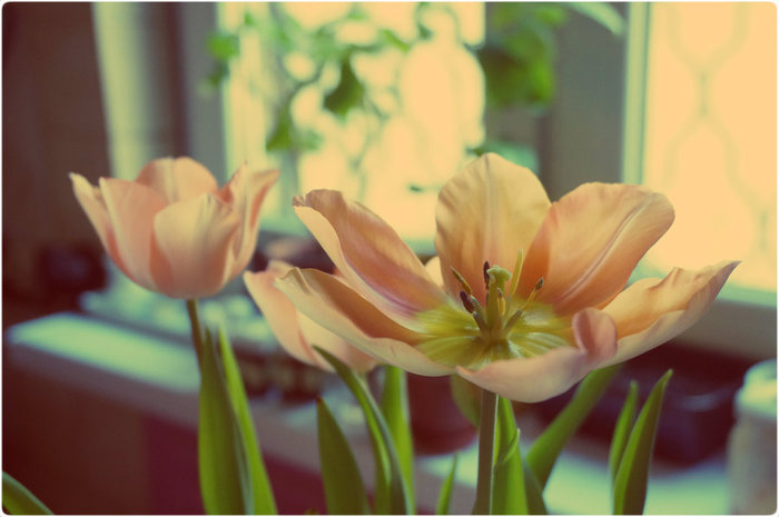 22 (700x465, 56Kb)