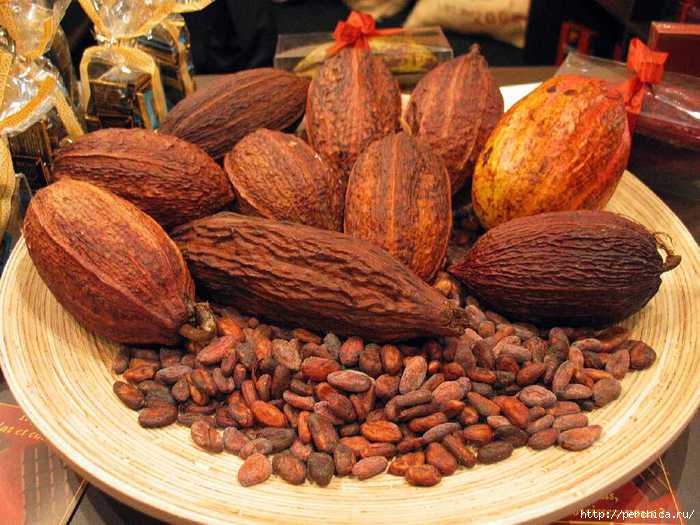 4979645_cocoa_beans (700x525, 208Kb)