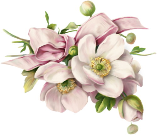 5230261_vinetka_cvetysh_yabdoni (500x430, 217Kb)