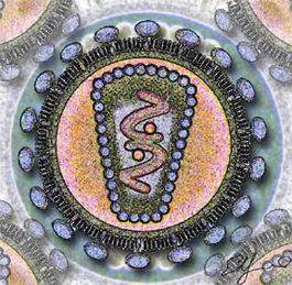 : Human Immunodeficency Virus - stylized rendering.jpg/1424252404_VICH (265x259, 38Kb)