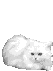 0_bf4d3_bfee7c84_XXS (53x71, 59Kb)
