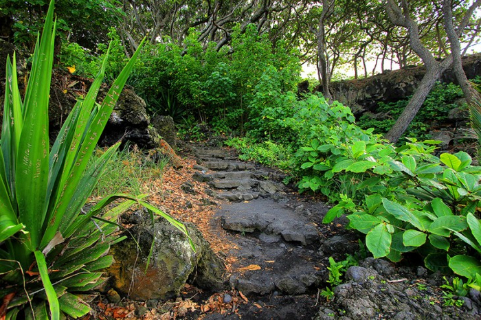 Великолепные сады острова Мауи 13 (700x466, 554Kb)