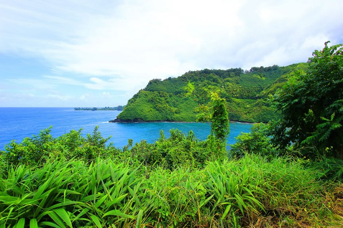 Великолепные сады острова Мауи 6 (700x466, 438Kb)