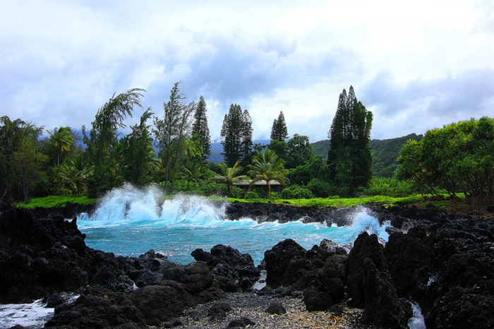 Великолепные сады острова Мауи 9 (700x466, 342Kb)