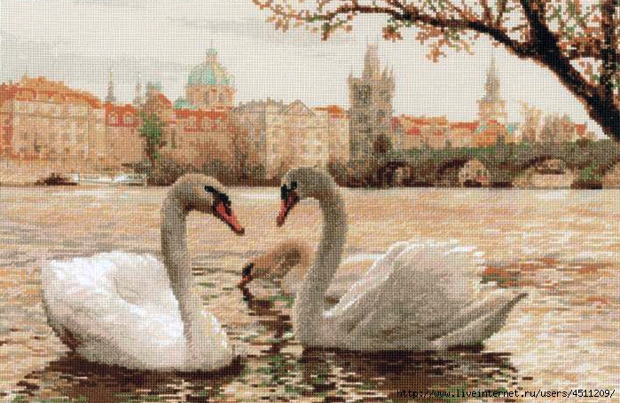 Stitchart-lebedi-praga0 (700x454, 329Kb)