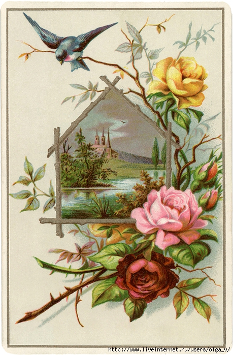 Vintage-Roses-Picture-GraphicsFairy (459x700, 334Kb)